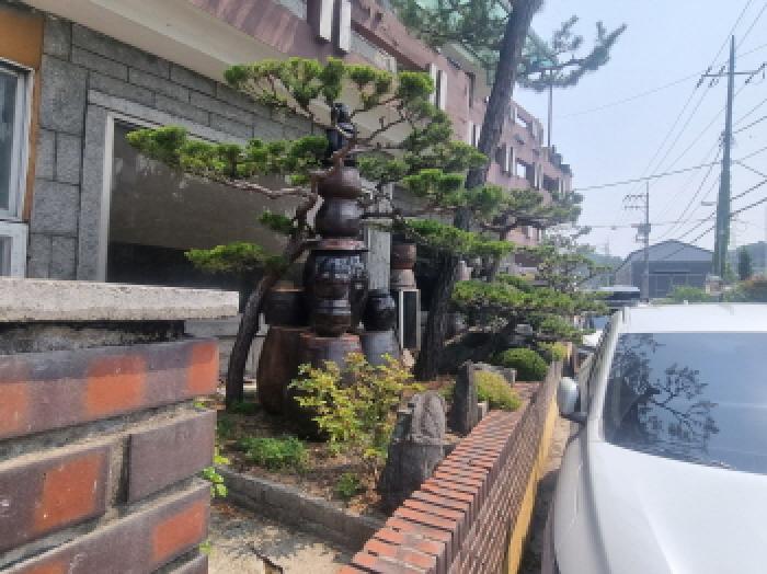 제시외화단