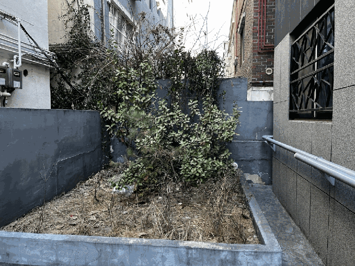 본건 토지상 조성된 화단 및 조경