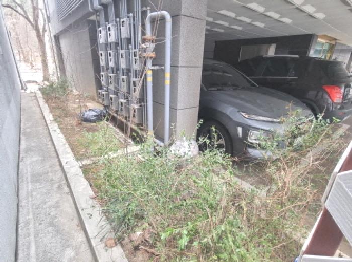 1층 화단 모습