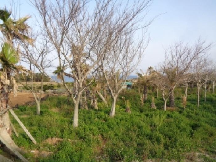 소재지 1.(판포리 1544-1) 전경