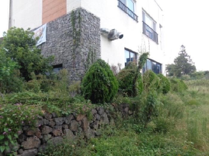 소재지 1.(색