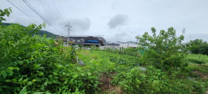 본건 부동산 전경1