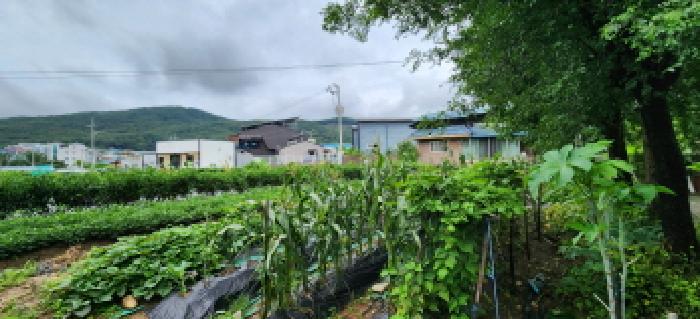 본건 부동산 전경3