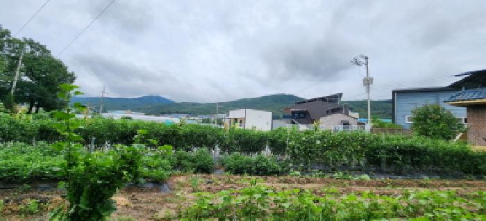 본건 부동산 전경4
