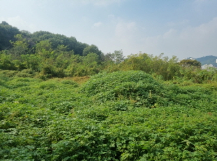 전경(1)