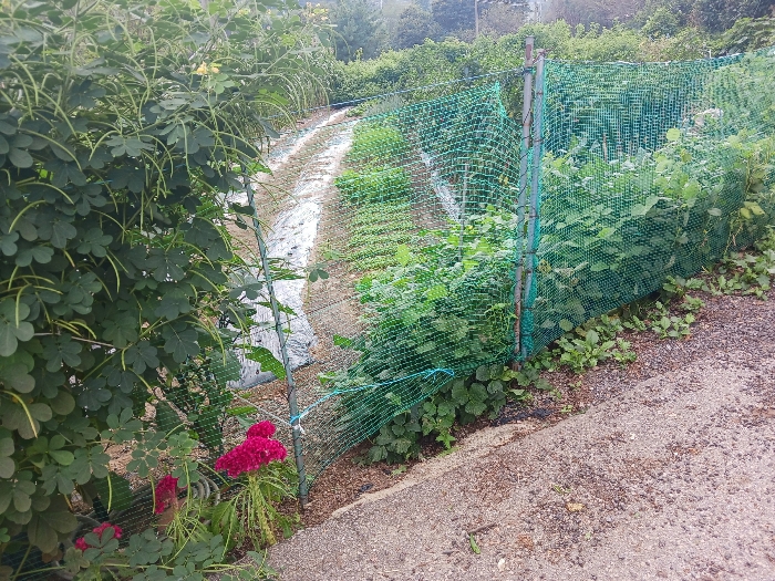 공시지가 비교표준지.