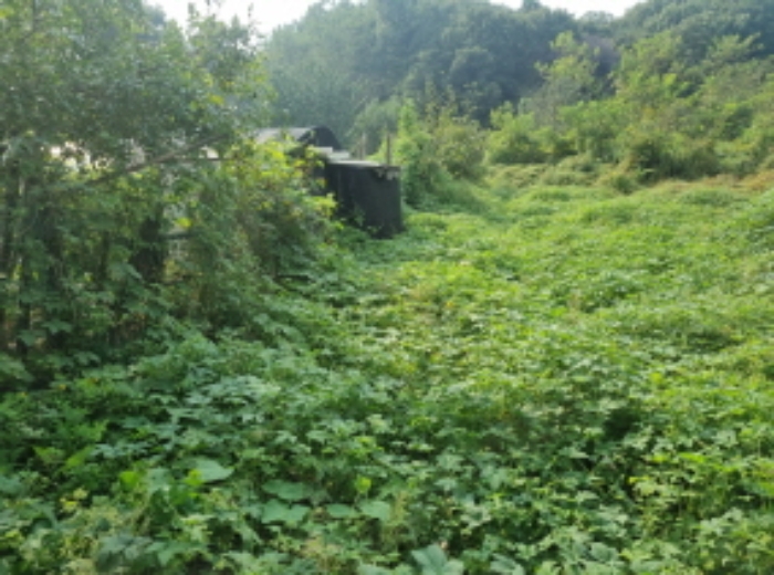 전경(1)