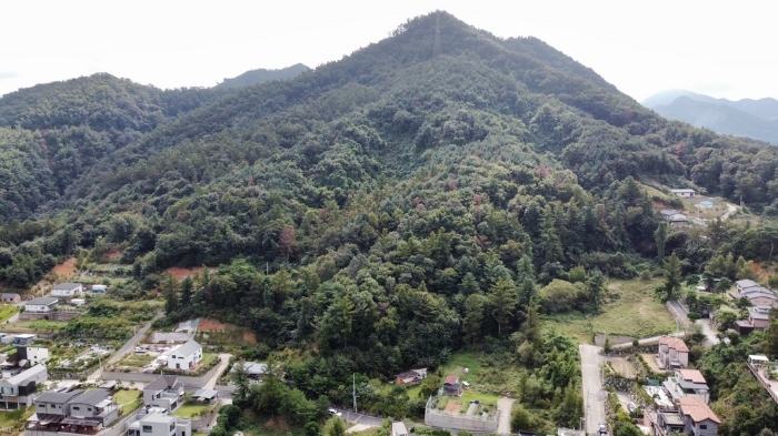 본건전경