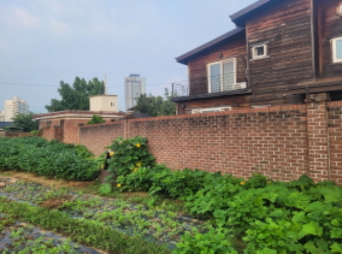 목록4 제시외 벽돌담