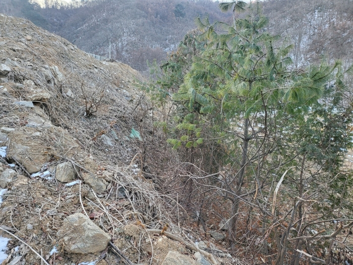 기호(3) 전경