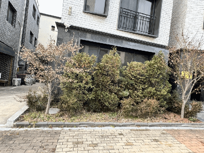 [1층 정원(수목) 전경]