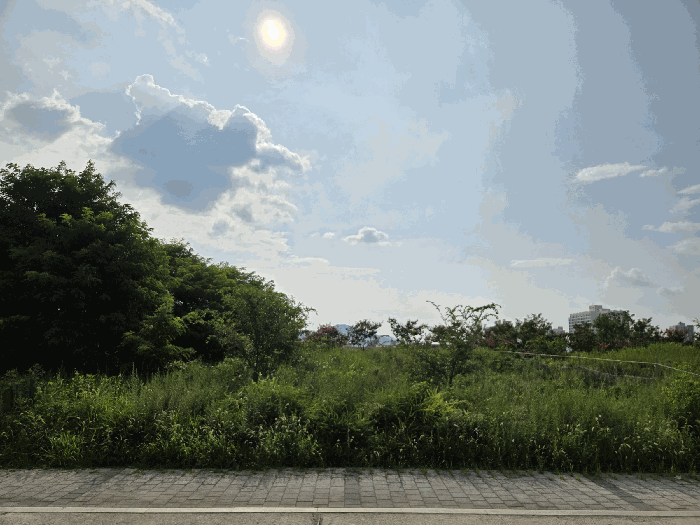 본건 전경 1