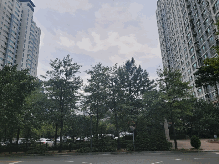 아파트단지 내부 전경