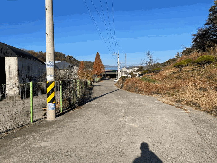 본건 기호 5), 6), 8)~10) 전경