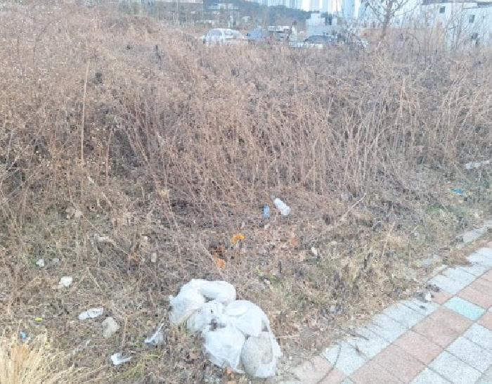 본건 2번 전경 2