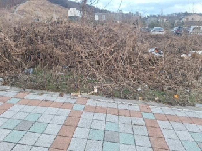 본건 1번 전경 3