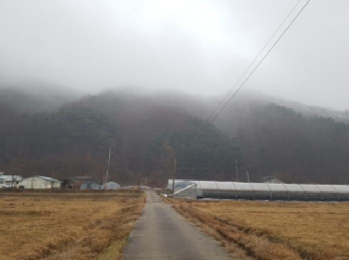 제시부동산 전경1