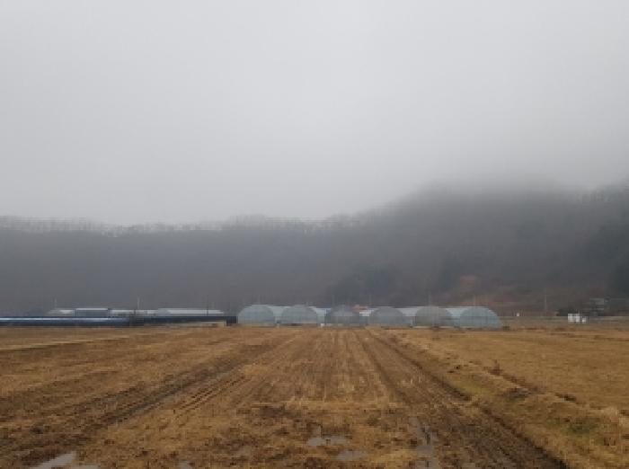 제시부동산 전경3