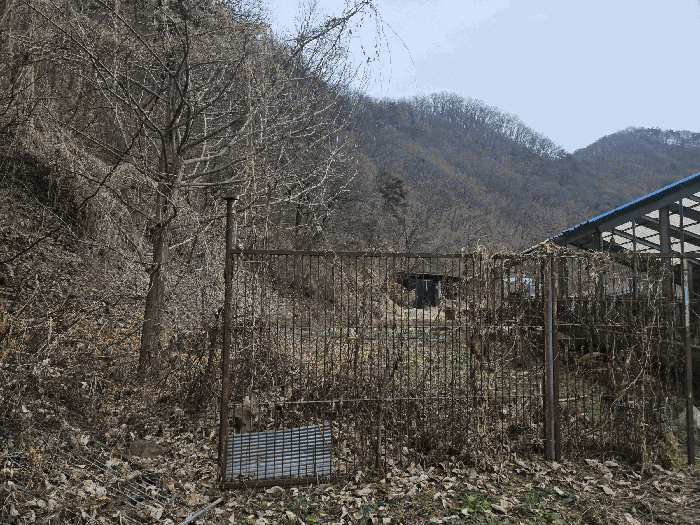 본건일부 농경지 현황
