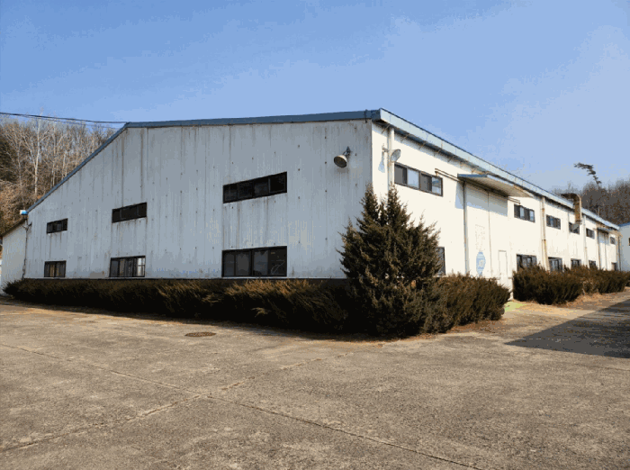 기호 6 및 수목(남서측촬영)