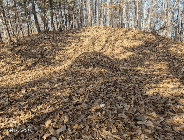 기호 5 소재 분묘