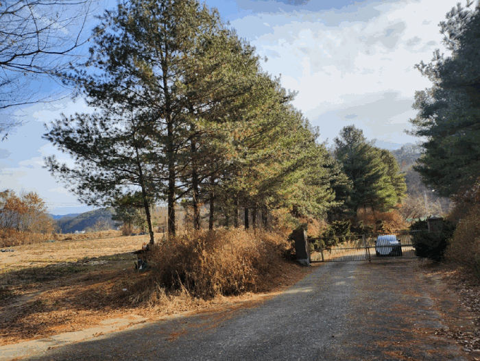 수목 및 출입문