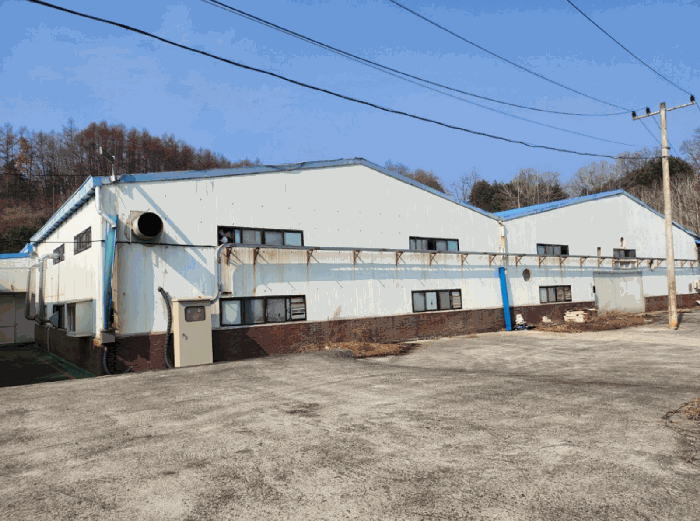 기호 6(동측 촬영)