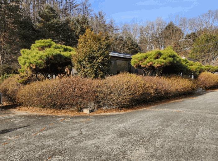 기호 3 지상 수목 및 조경석(남측촬영)