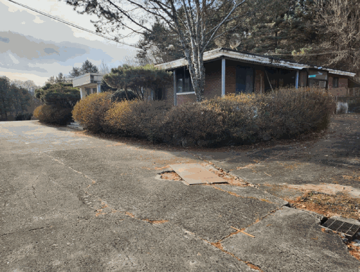 기호 3 지상 수목 및 조경석(북측촬영)