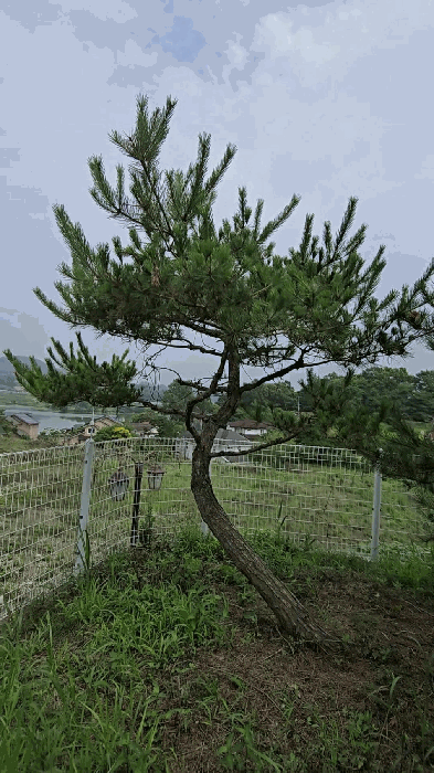 제시외 ㄷ