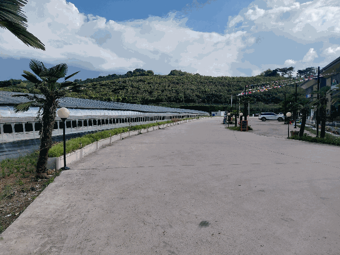 기호 2) 도로