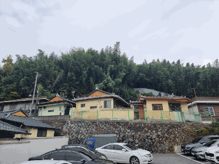 일련번호(3) 전경