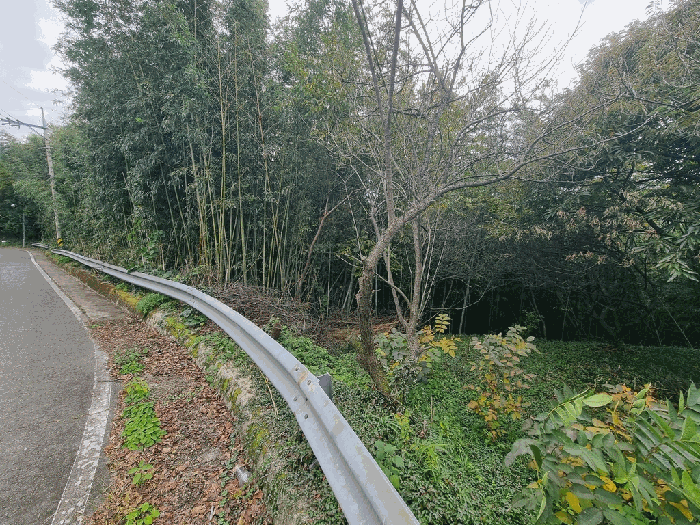 일련번호(4) 전경