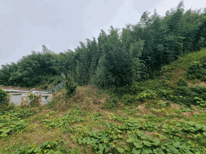 일련번호(3) 전경