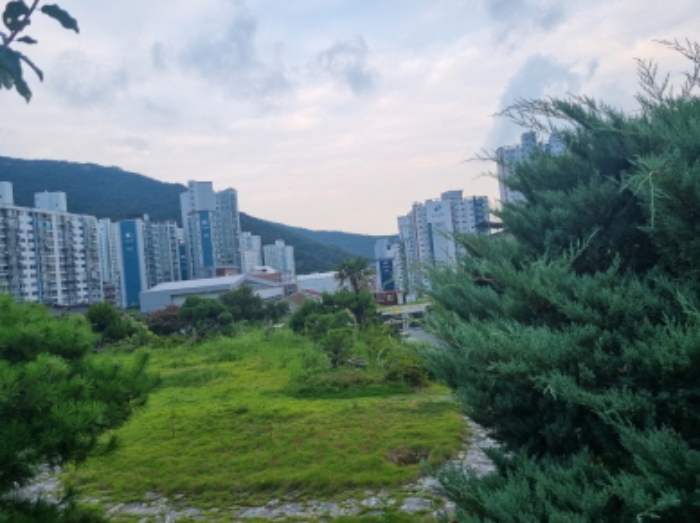 본건 19항 대
