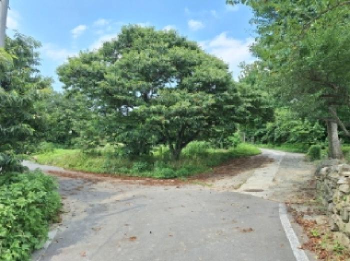 본건 입구 진입로