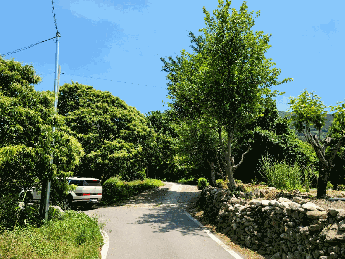 본건 진입로 전경