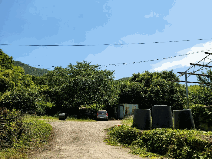 기호5) 및 컨테이너(1기)