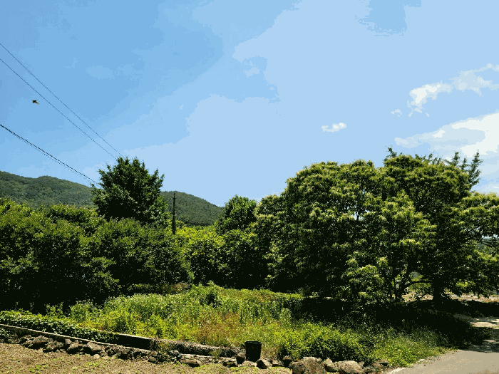 기호4)