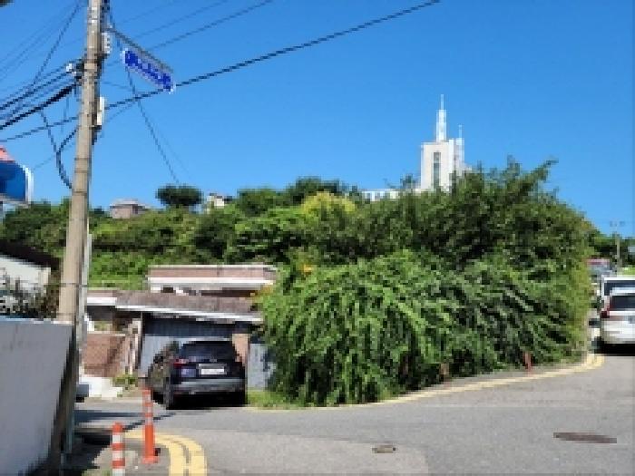 본건 1,2,3항 전경
