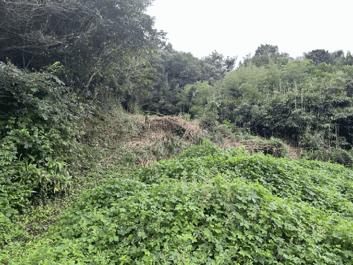 일련번호(4)