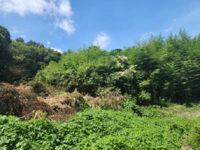 본건4.
