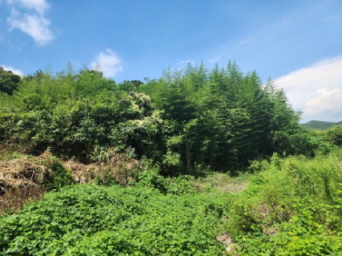 본건4. 