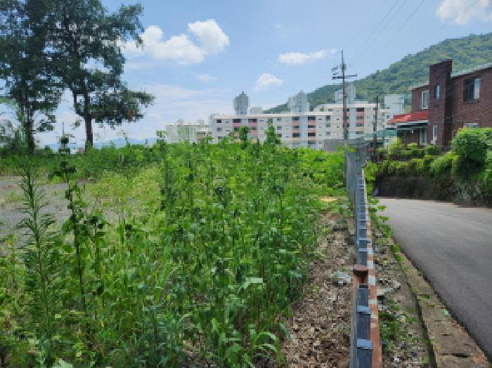 목록12. 토지로 보이는 곳의 모습(좌측 토지)