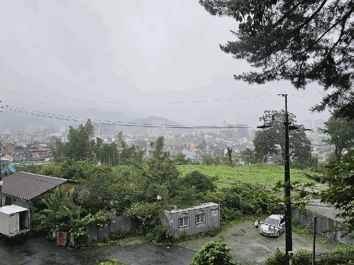 본건 전경