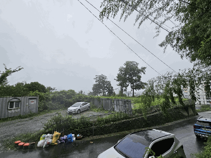 기호(17)