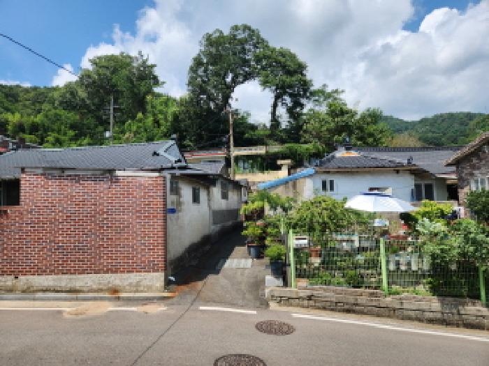 목록10. 내지 19번 토지의 진입로 모습