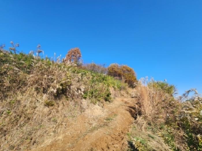 부동산표시 제1호