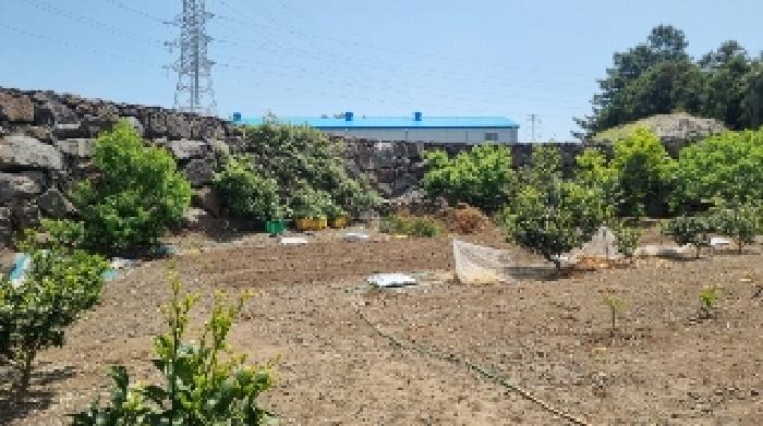 소재지4(와흘리 2802) 전경1