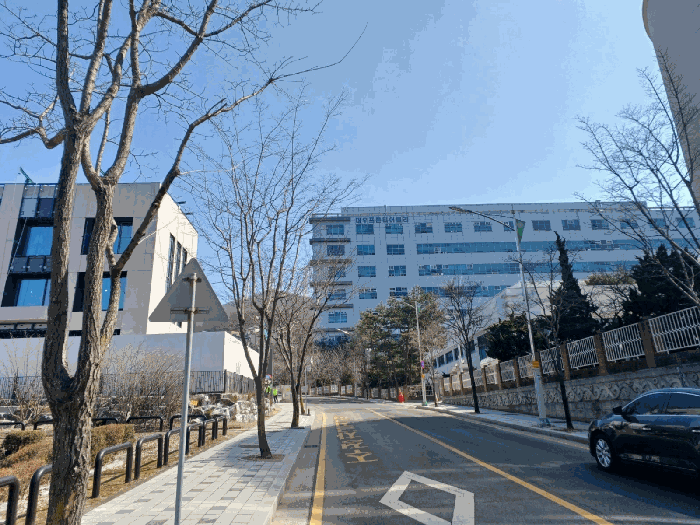 본건 건물 북측 진입도로 및 주위환경